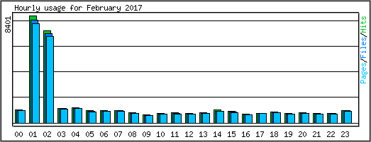 Hourly usage