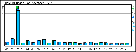 Hourly usage