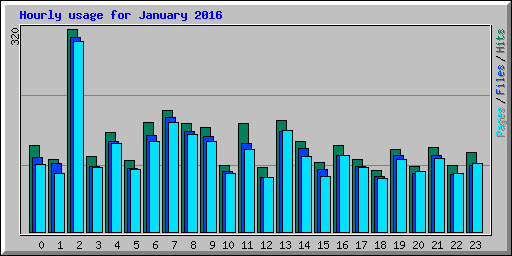 Hourly usage for January 2016