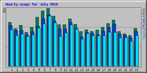 Hourly usage for July 2016