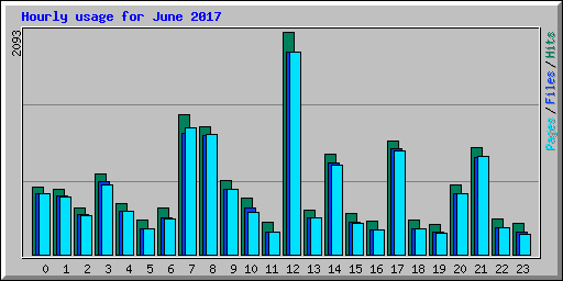 Hourly usage for June 2017